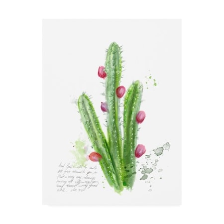 Ingrid Blixt 'Cactus Verse II' Canvas Art,18x24